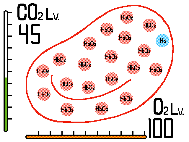 f:id:soilshop:20200711102844g:plain