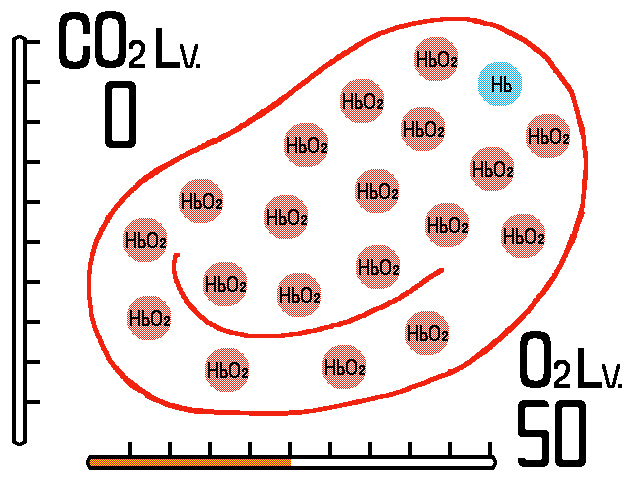 f:id:soilshop:20200711102946g:plain