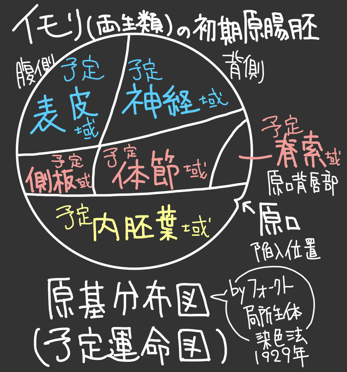 f:id:soilshop:20210123124156j:plain