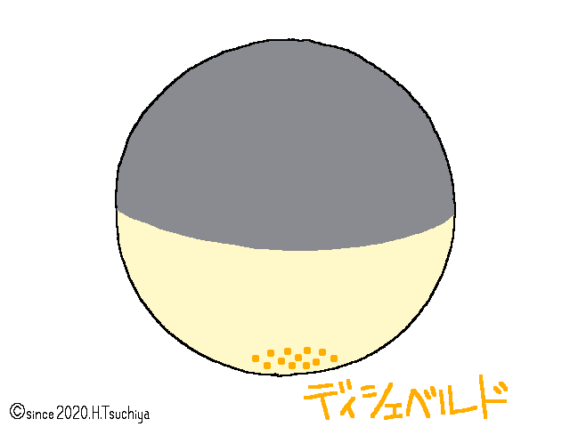 f:id:soilshop:20210223012615g:plain