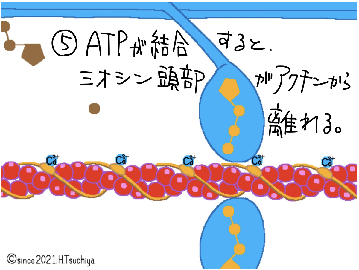 f:id:soilshop:20210416222031j:plain