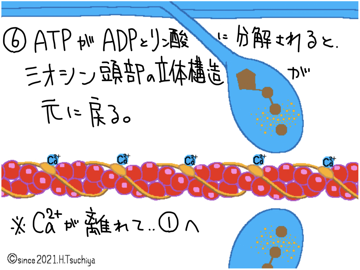 f:id:soilshop:20210416222121j:plain