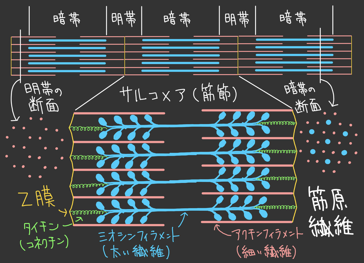 f:id:soilshop:20210416230359j:plain