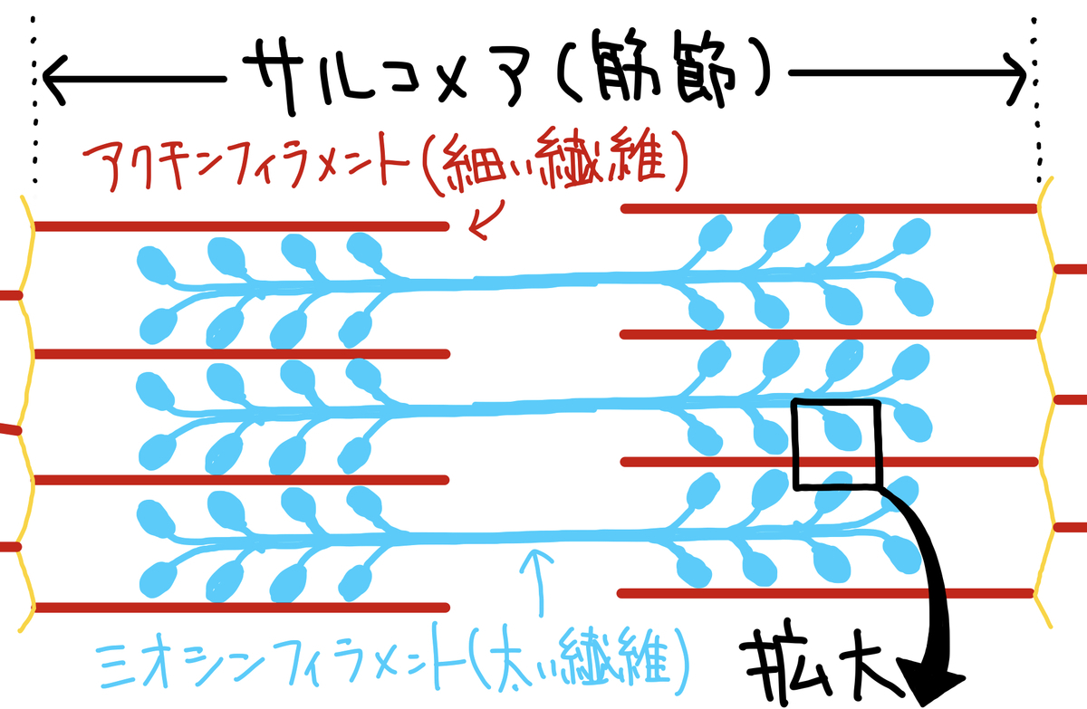 f:id:soilshop:20210417223209j:plain