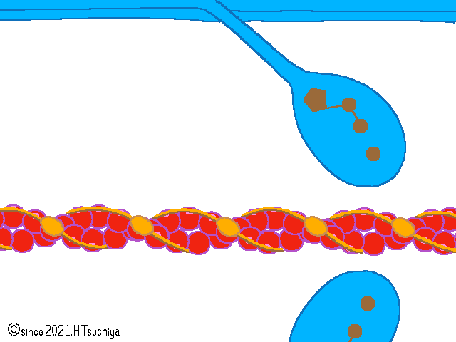 f:id:soilshop:20210423222643g:plain