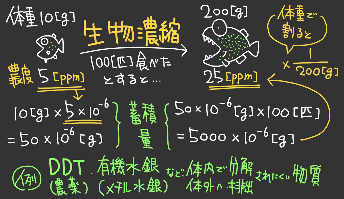 f:id:soilshop:20210619223204j:plain