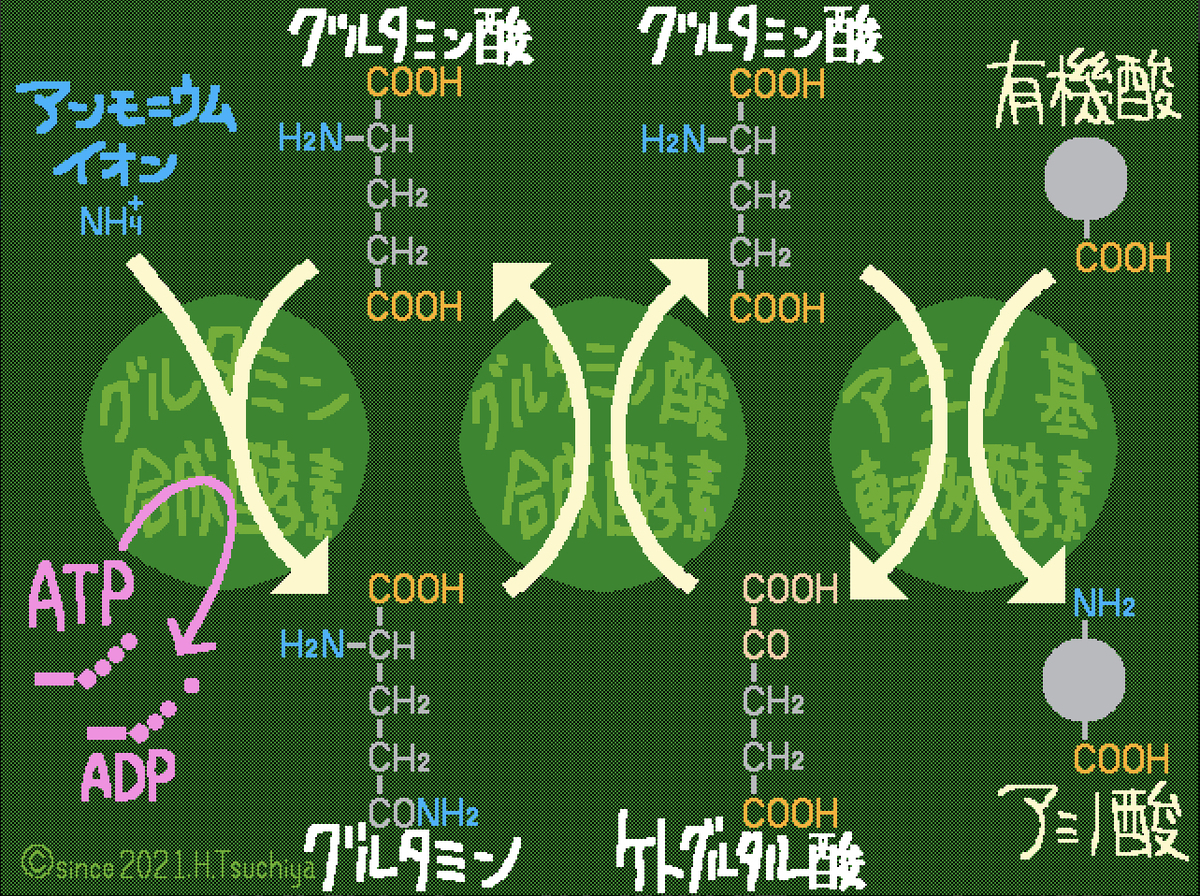 f:id:soilshop:20210718180119j:plain