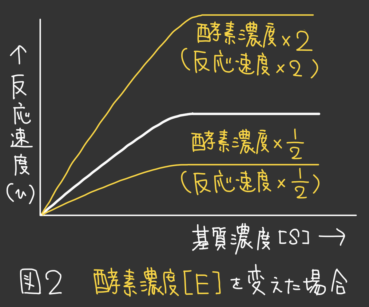 f:id:soilshop:20210814120844j:plain