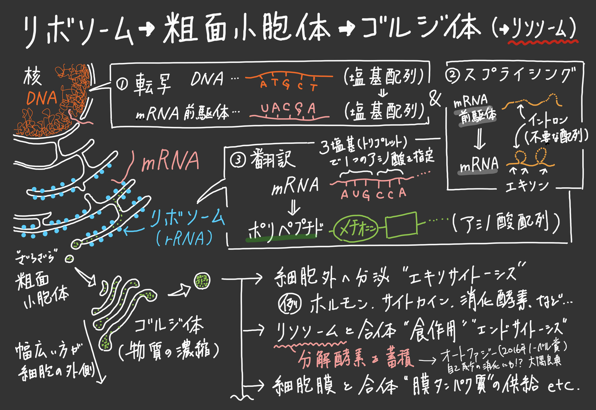 f:id:soilshop:20211029205347j:plain