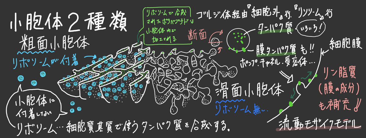 f:id:soilshop:20211029205510j:plain