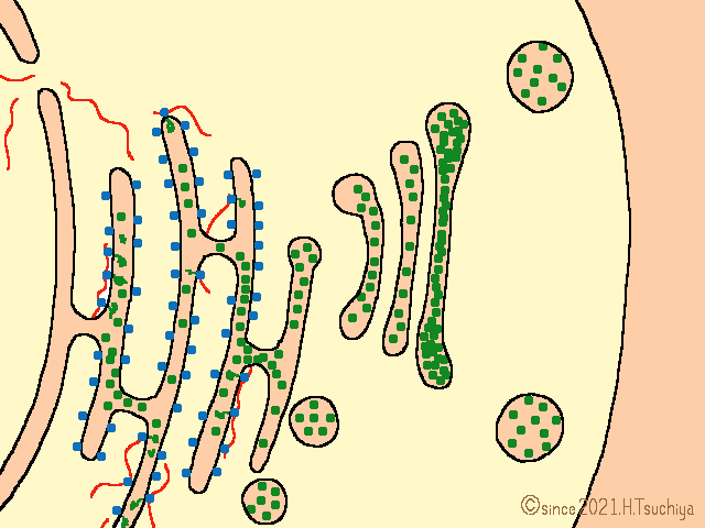 f:id:soilshop:20211031131931g:plain