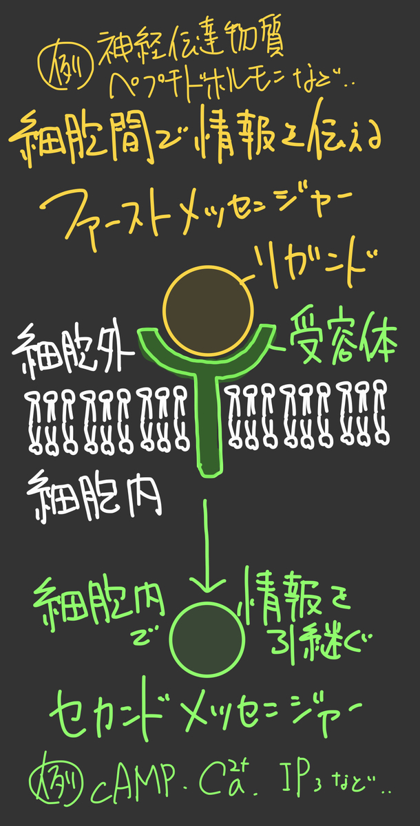 f:id:soilshop:20220213175405j:plain