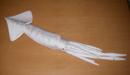 スルメイカの ぬいぐるみ Soishidaのブログ スルメイカの ぬいぐるみ Soishidaのブログ