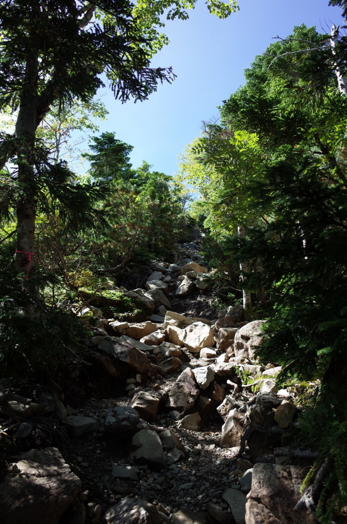 f:id:soiyadakara:20170913095902j:plain f:id:soiyadakara:20170913095902j:plain