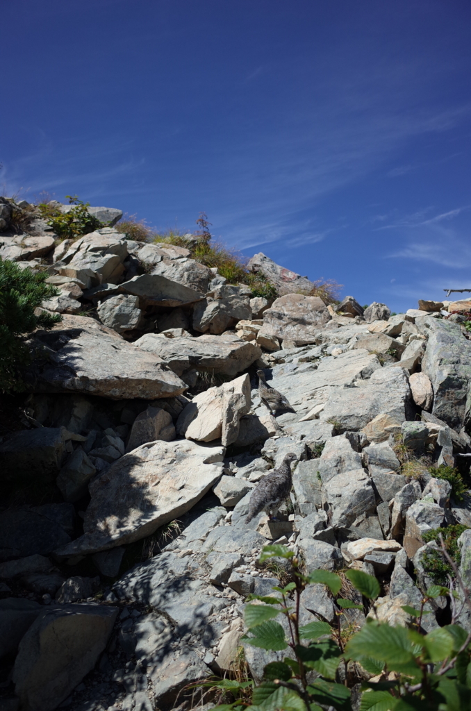 f:id:soiyadakara:20170913105021j:plain f:id:soiyadakara:20170913105021j:plain