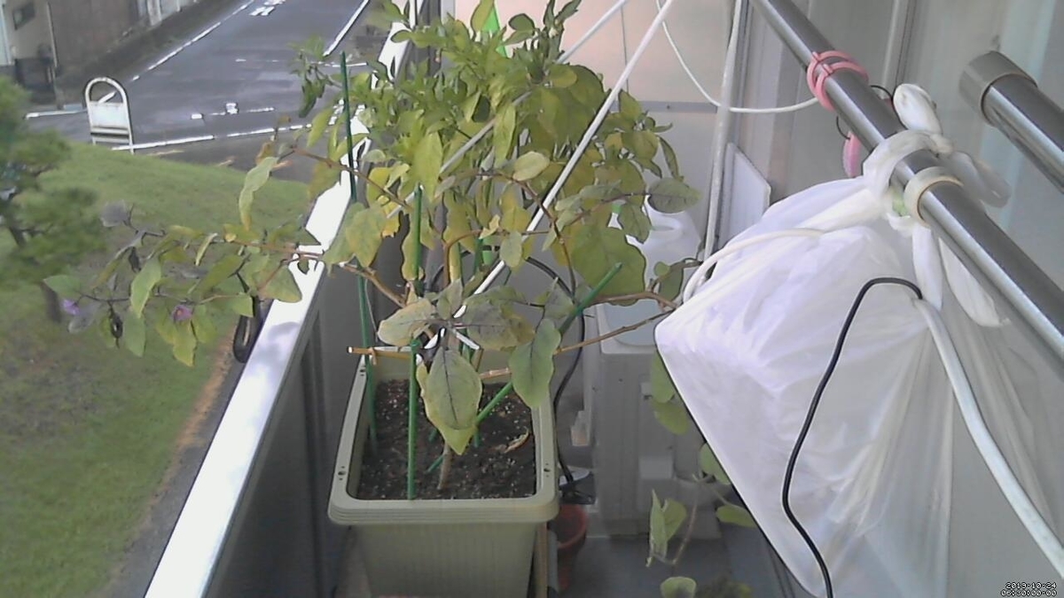 f:id:soiyadakara:20191024063000j:plain f:id:soiyadakara:20191024063000j:plain