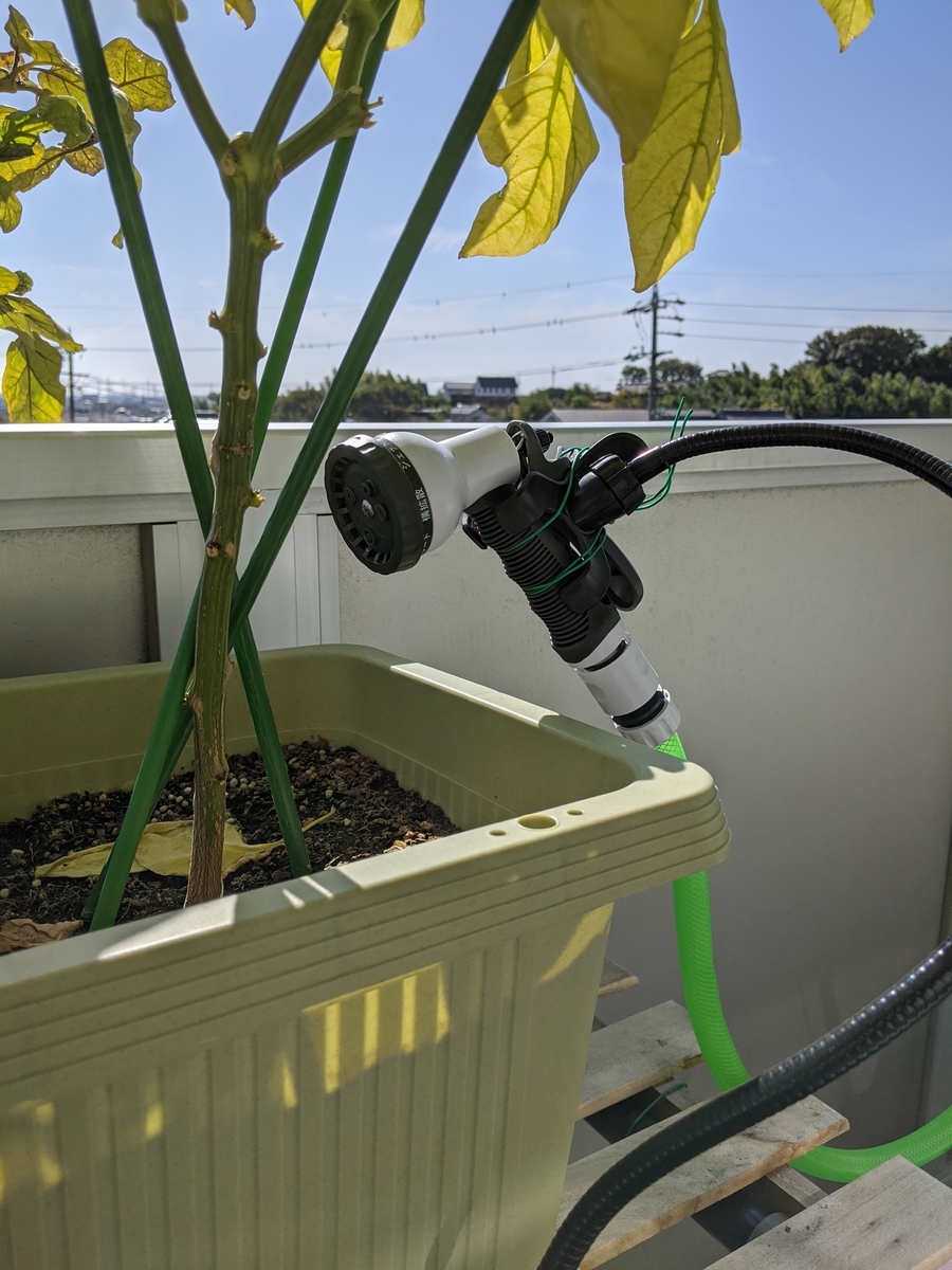 f:id:soiyadakara:20191117114820j:plain f:id:soiyadakara:20191117114820j:plain