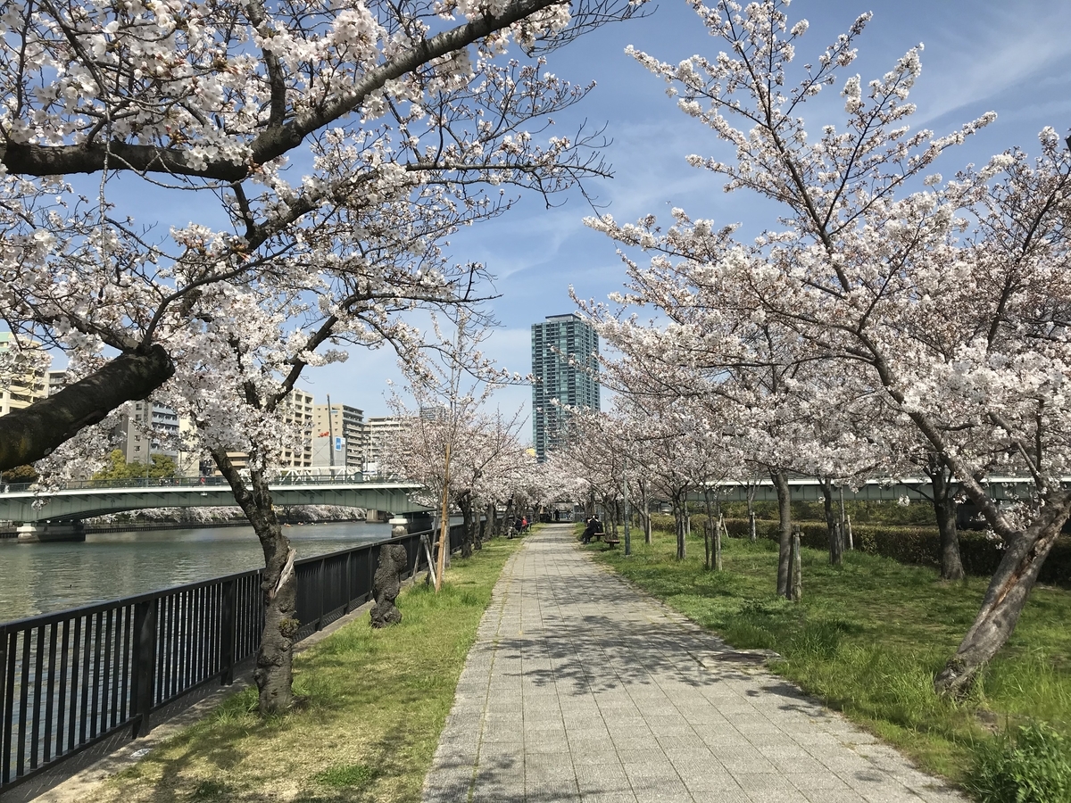 f:id:soja_88:20210327231827j:plain