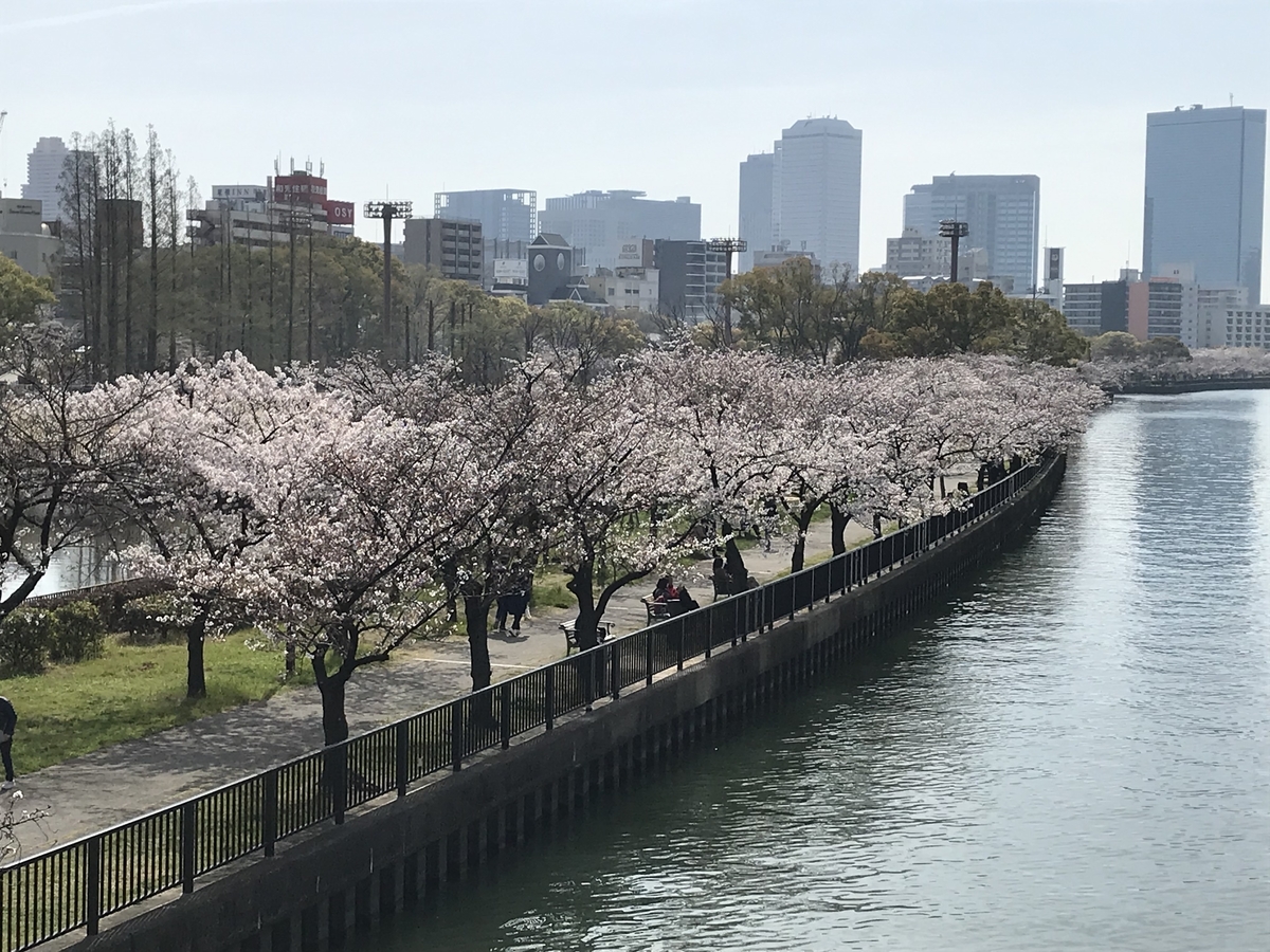 f:id:soja_88:20210327231856j:plain