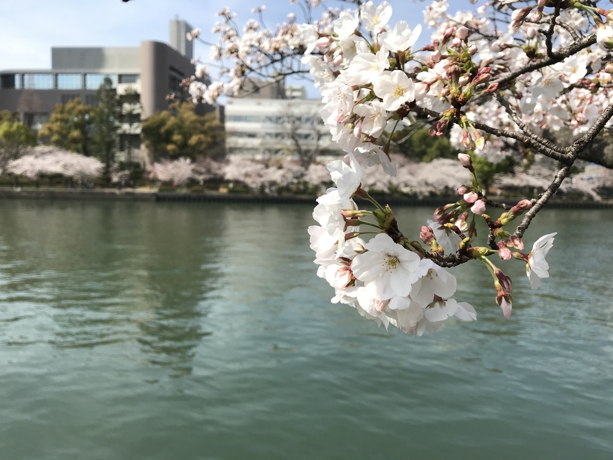 f:id:soja_88:20210327231919j:plain