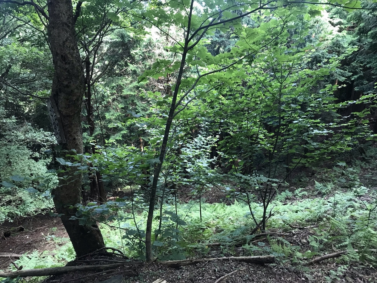 f:id:soja_88:20210721160910j:plain