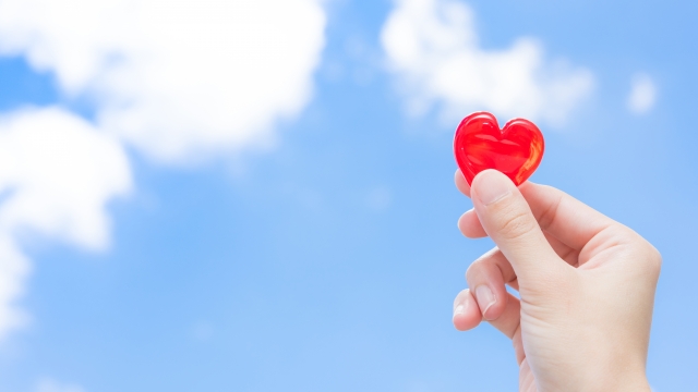 f:id:soju1556:20171229191446j:plain