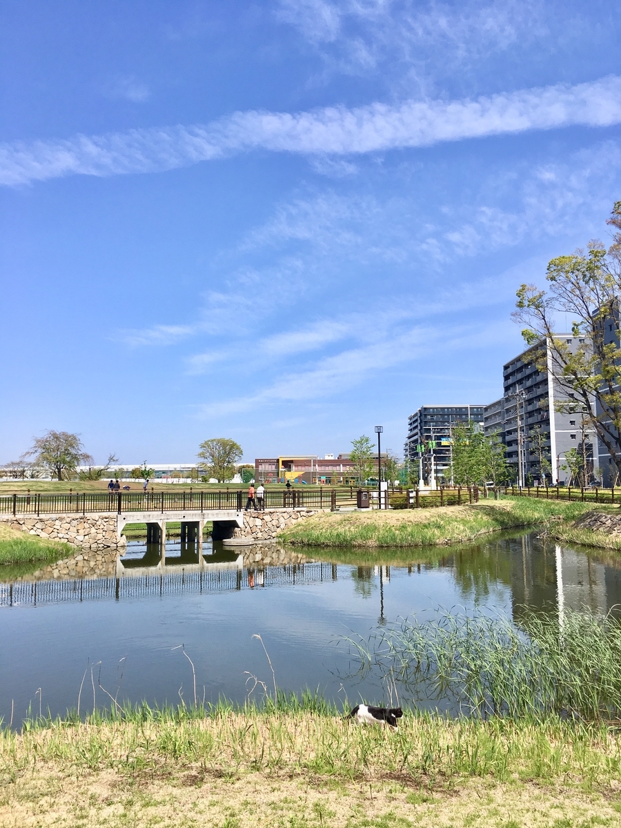f:id:soka-matsubara:20190818175145j:plain
