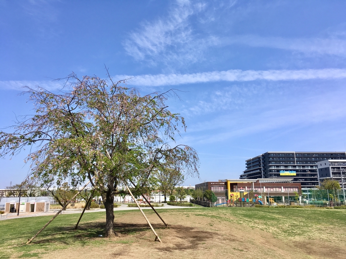 f:id:soka-matsubara:20190818175224j:plain
