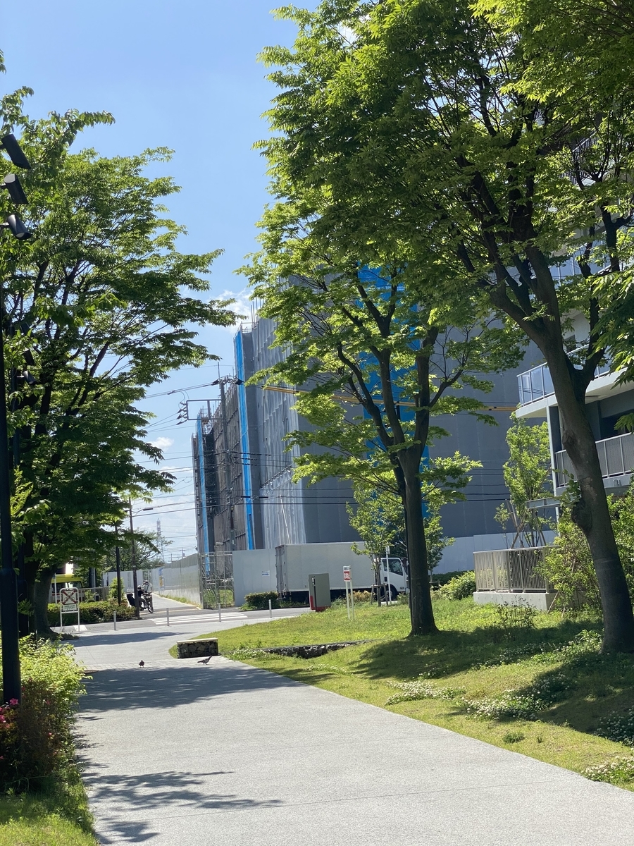 f:id:soka-matsubara:20200517215912j:plain