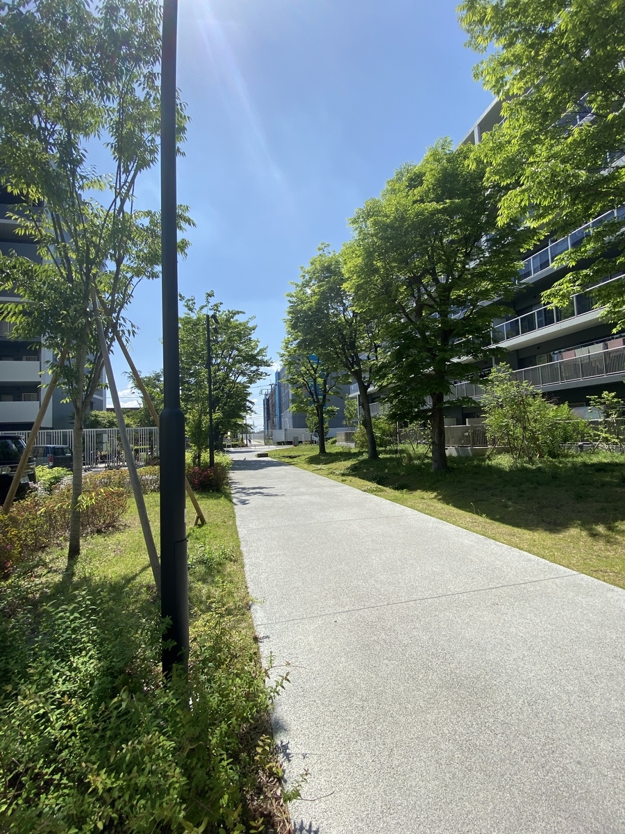f:id:soka-matsubara:20200517215918j:plain