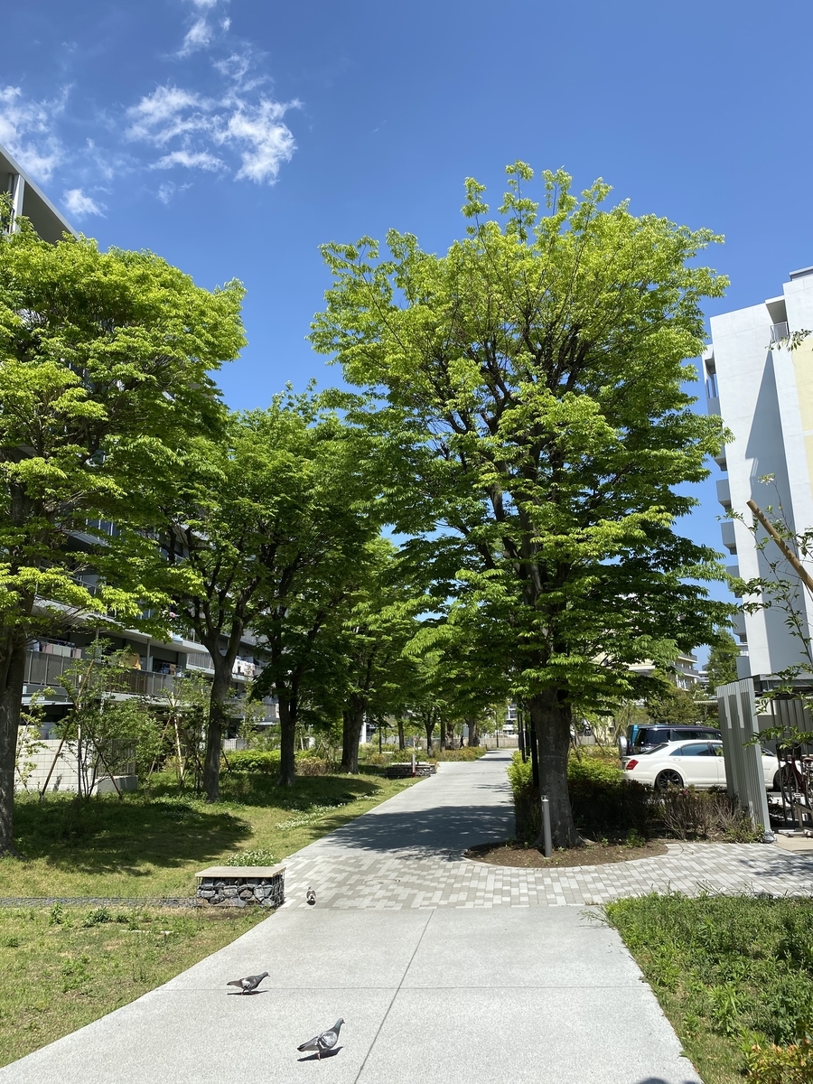 f:id:soka-matsubara:20200517215922j:plain