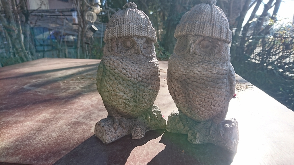 f:id:soka1023:20190207220129j:plain