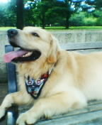 f:id:sokaodo:20060711081324j:image f:id:sokaodo:20060711081324j:image