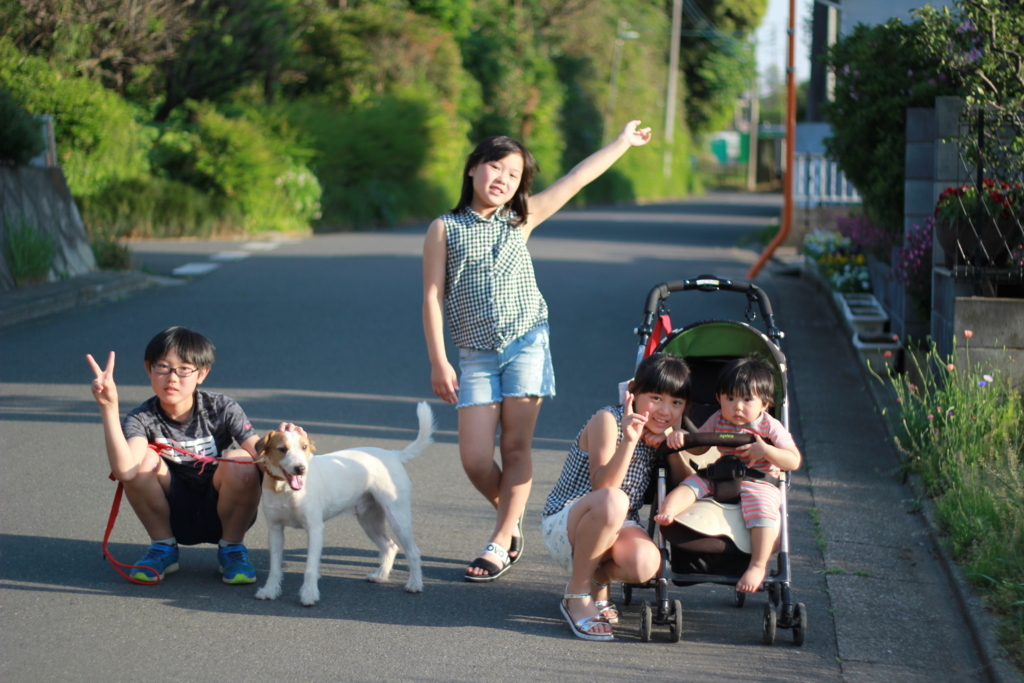 f:id:sokayasu:20180505164655j:plain f:id:sokayasu:20180505164655j:plain