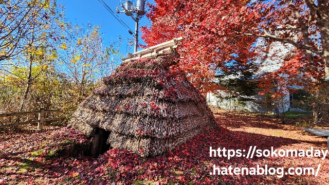 f:id:sokomaday:20241227221526j:image