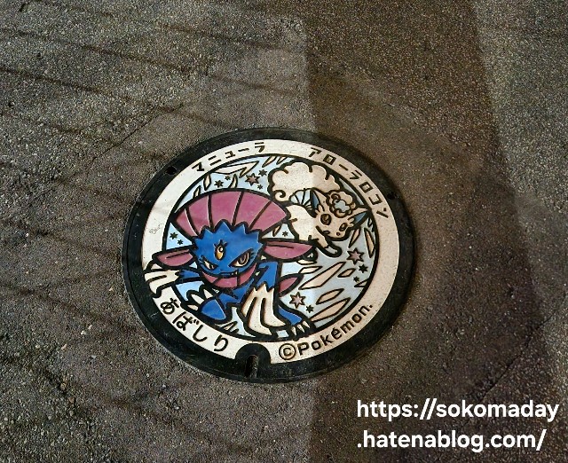 f:id:sokomaday:20241230211916j:image