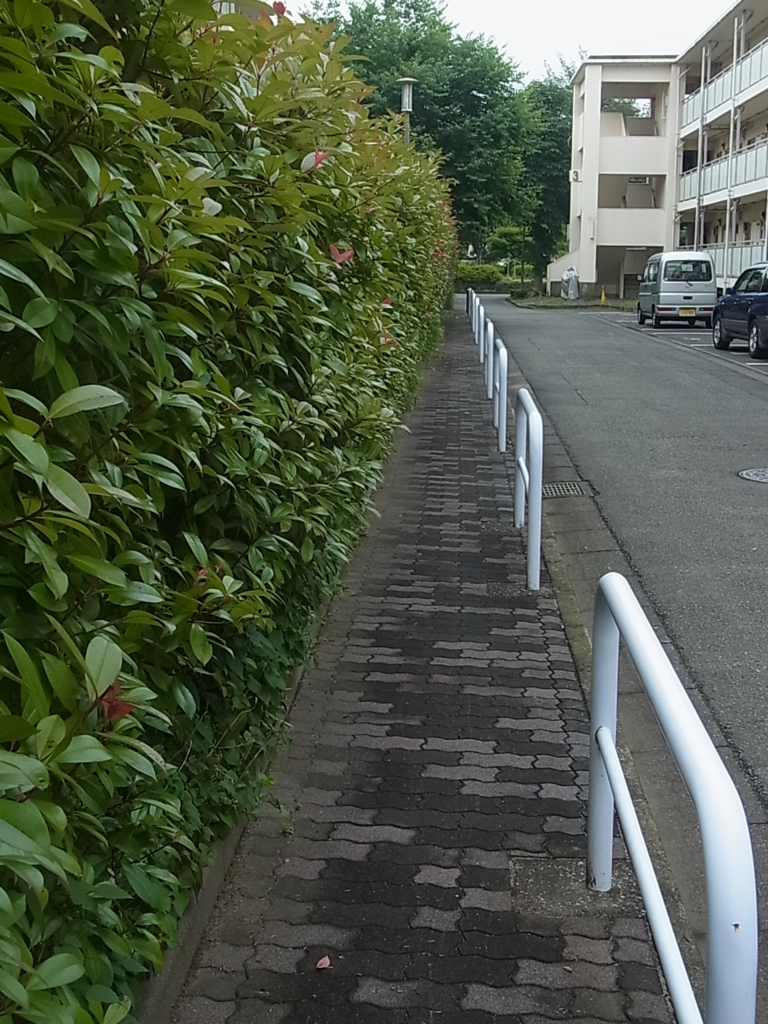 f:id:sokotujii:20160615171502j:plain