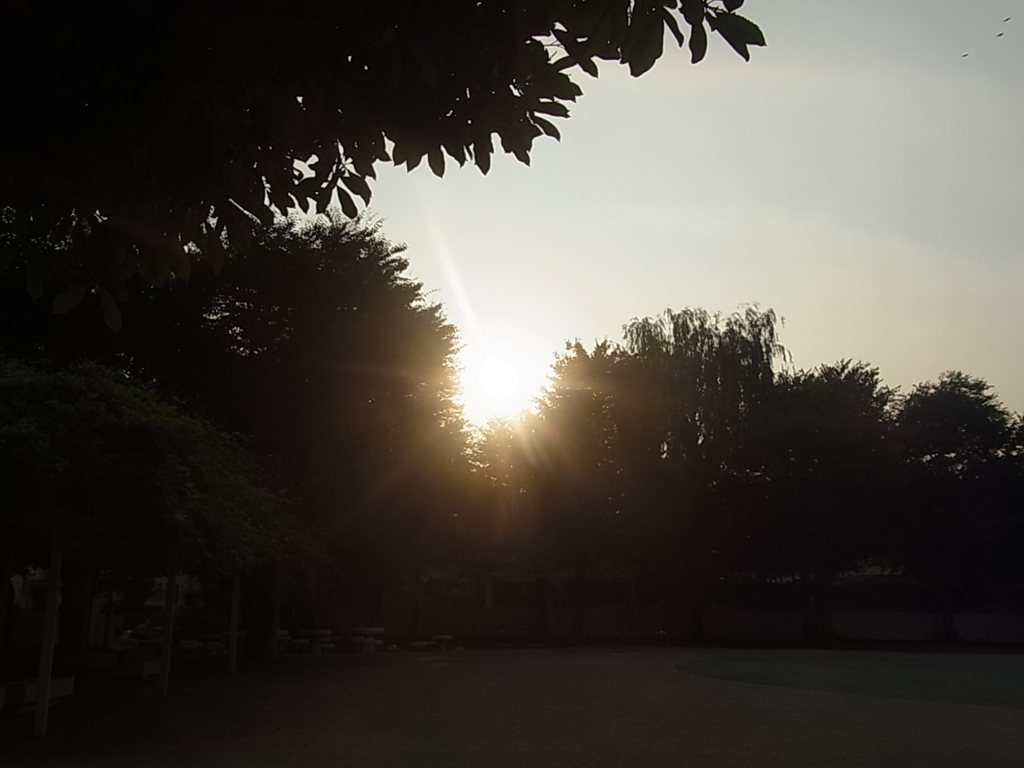f:id:sokotujii:20160701175208j:plain