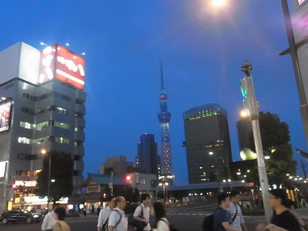 f:id:sokotujii:20160701192159j:plain
