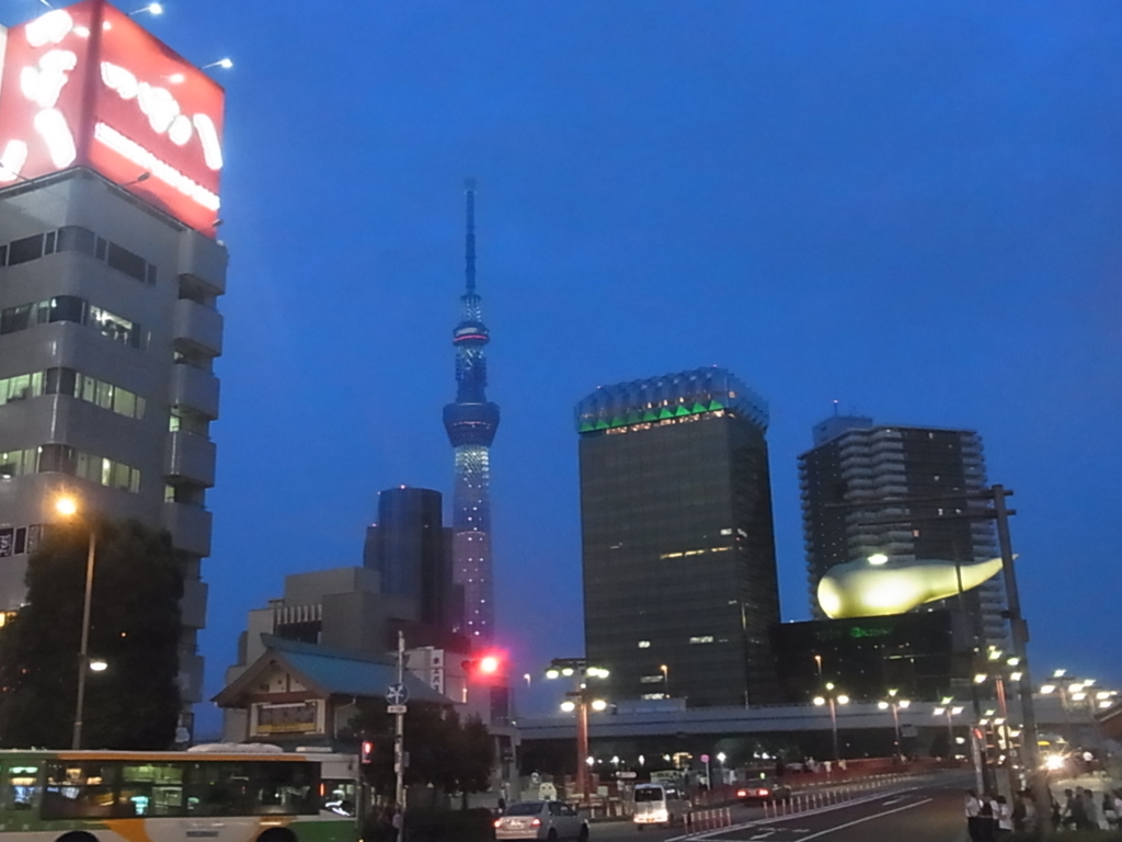 f:id:sokotujii:20160701192212j:plain