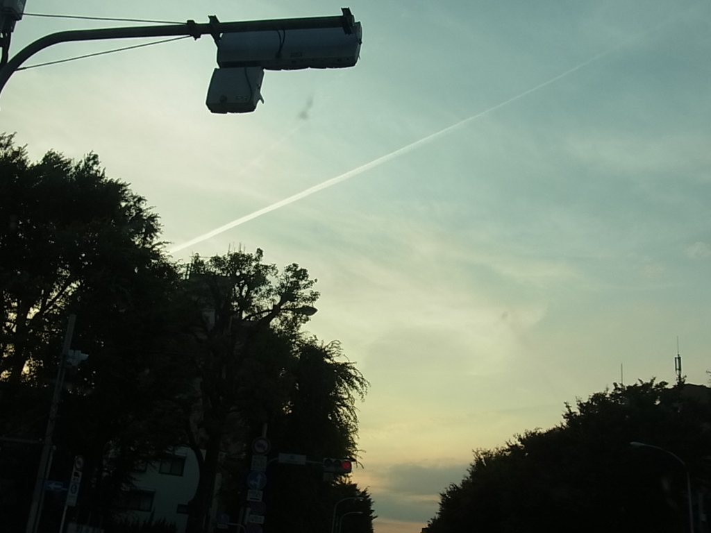 f:id:sokotujii:20160711182644j:plain