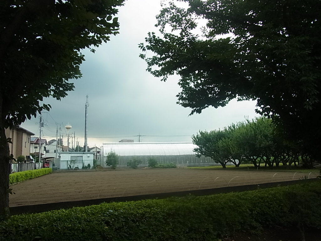f:id:sokotujii:20160720160302j:plain