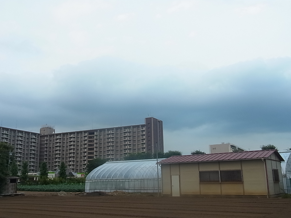 f:id:sokotujii:20160720182255j:plain