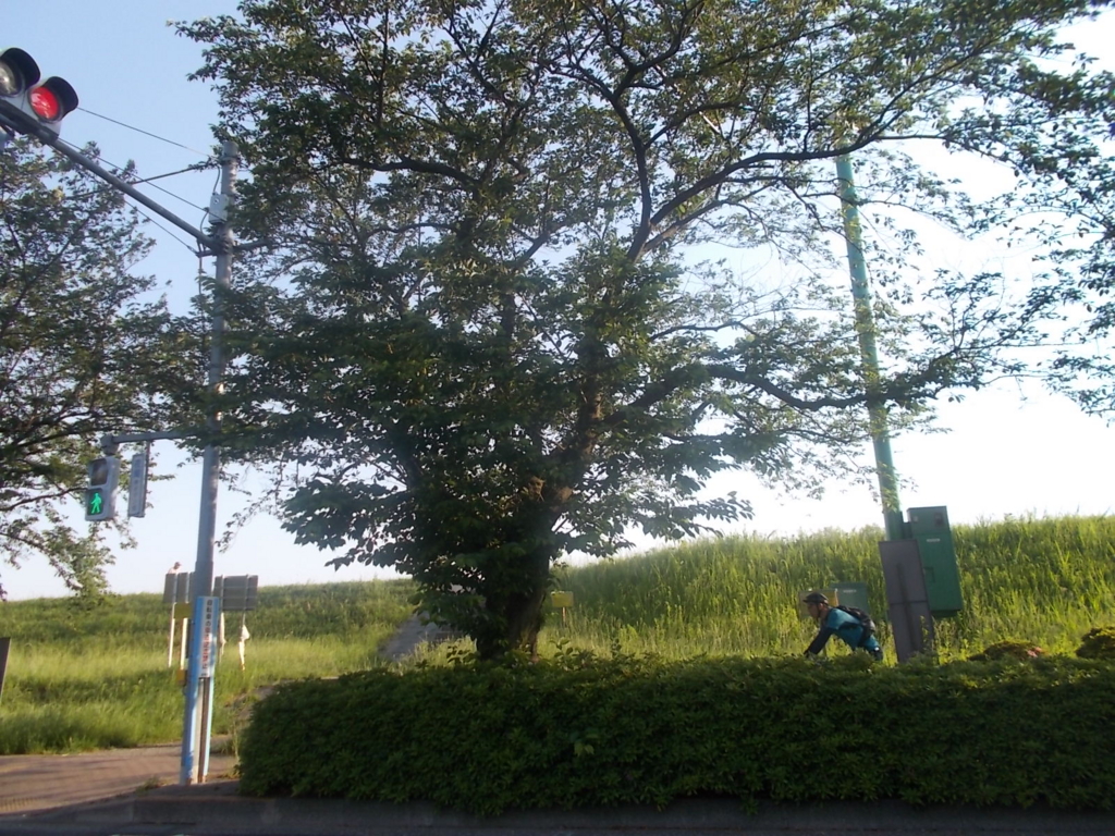 f:id:sokotujii:20170520170723j:plain