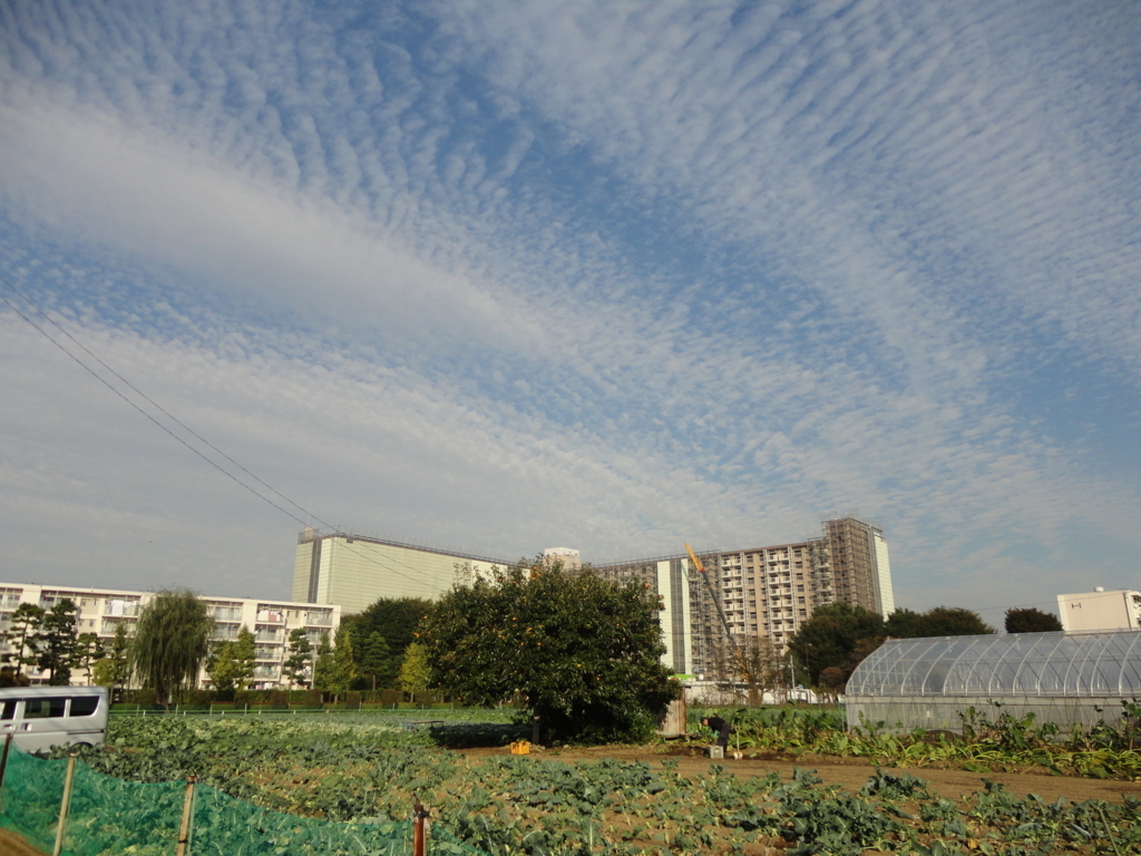 f:id:sokotujii:20171101143200j:plain