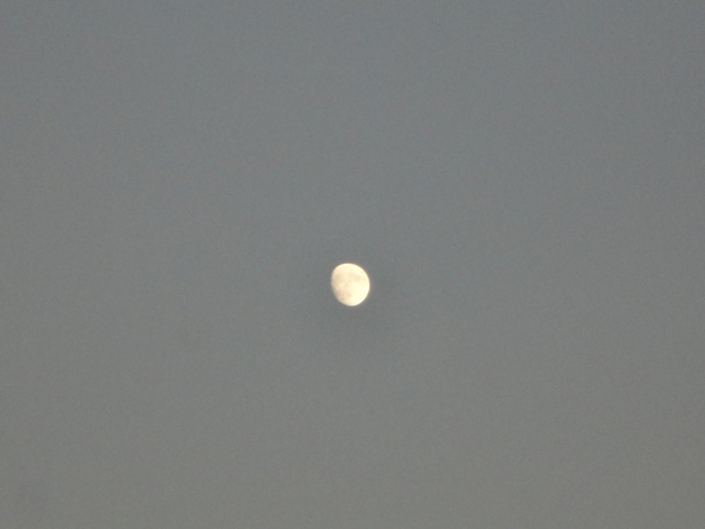 f:id:sokotujii:20171101164928j:plain