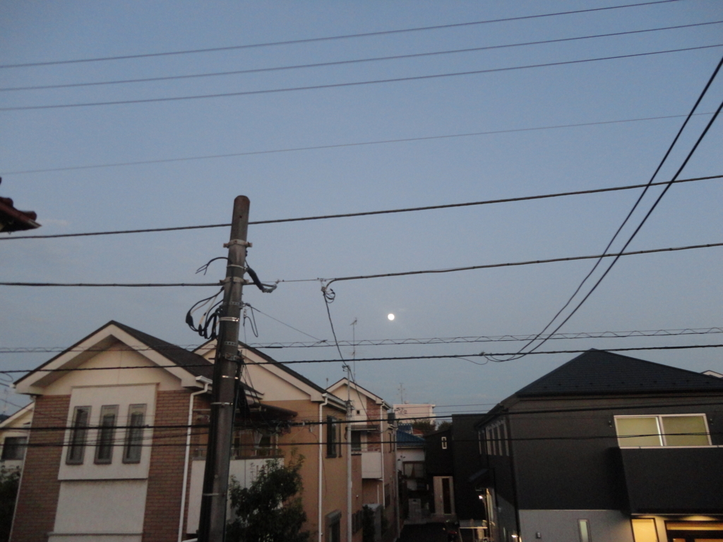 f:id:sokotujii:20171102170152j:plain