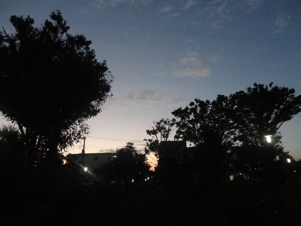 f:id:sokotujii:20171102170943j:plain