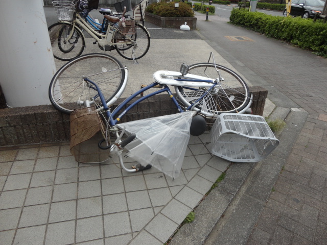 f:id:sokotujii:20180406095533j:plain