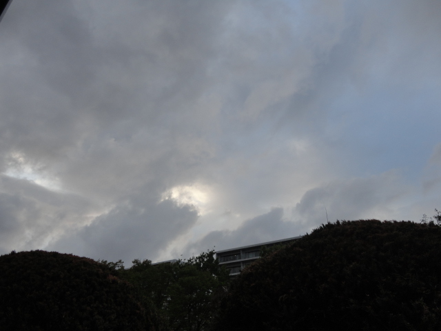 f:id:sokotujii:20180406175646j:plain
